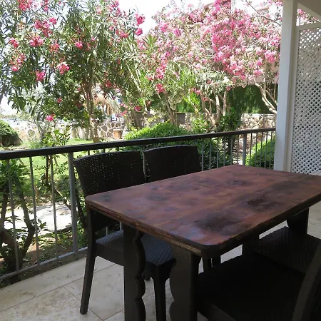 مطعم وبنسيون أرِّيبا *