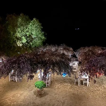 فندق مبيت وإفطار مطعم وبنسيون أرِّيبا