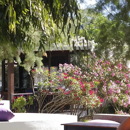 Arriba & Restaurant Bed & Breakfast *