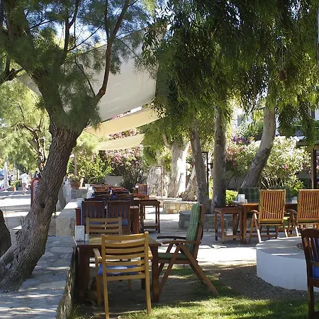 Arriba & Restaurant * 규무슬럭