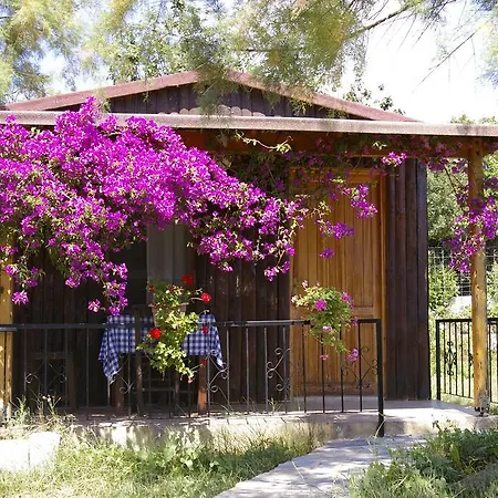 Arriba & Restaurant Bed & Breakfast *