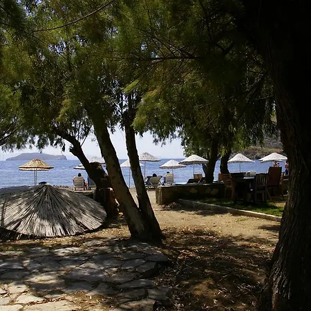 Arriba & Restaurant B&B